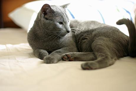 ぼー